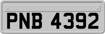 PNB4392