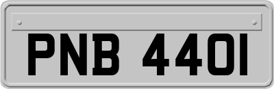 PNB4401
