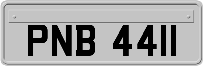 PNB4411
