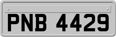 PNB4429