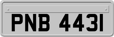 PNB4431