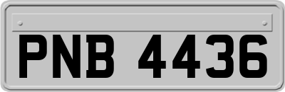 PNB4436