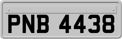 PNB4438