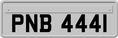 PNB4441