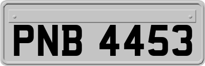 PNB4453