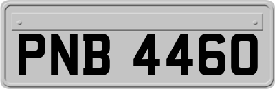 PNB4460