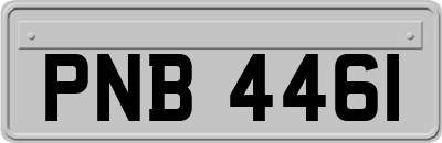 PNB4461
