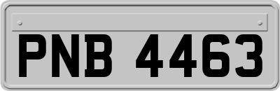 PNB4463