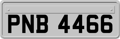 PNB4466