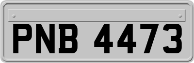 PNB4473