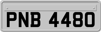 PNB4480