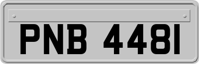 PNB4481