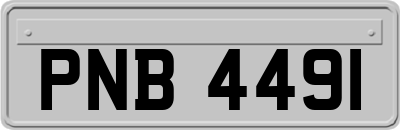 PNB4491