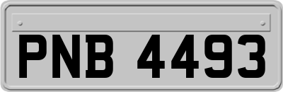 PNB4493