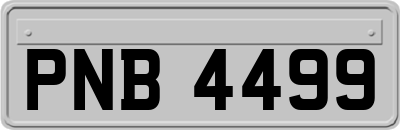 PNB4499