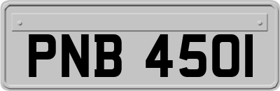 PNB4501