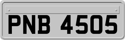 PNB4505