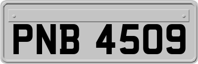 PNB4509
