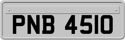 PNB4510