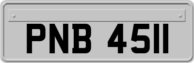 PNB4511