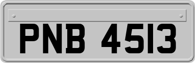 PNB4513