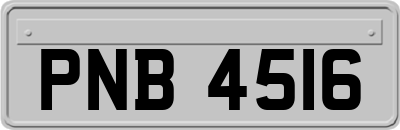 PNB4516