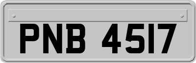 PNB4517