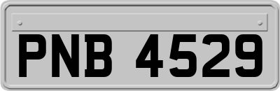 PNB4529