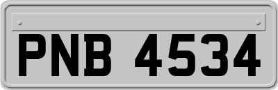PNB4534