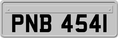 PNB4541
