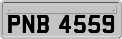 PNB4559