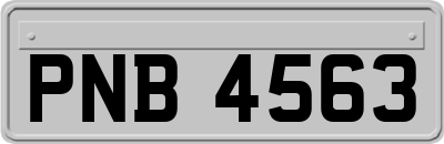 PNB4563