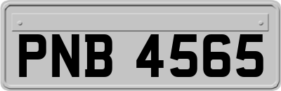 PNB4565