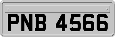 PNB4566