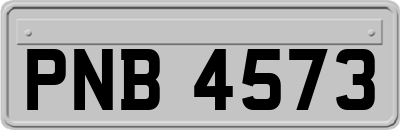 PNB4573