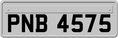 PNB4575