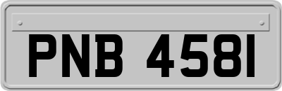 PNB4581
