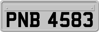 PNB4583
