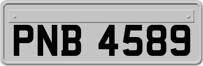 PNB4589