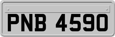 PNB4590