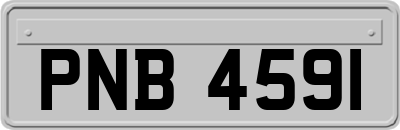 PNB4591
