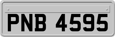 PNB4595
