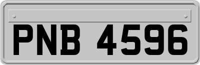 PNB4596