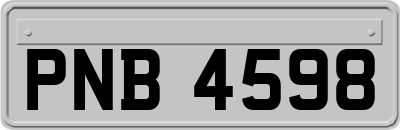 PNB4598