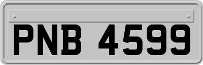 PNB4599