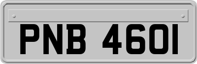 PNB4601