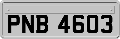 PNB4603