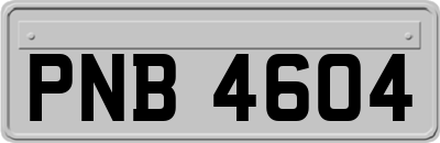 PNB4604
