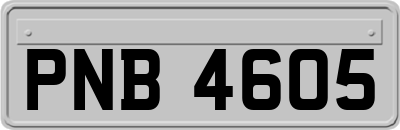 PNB4605
