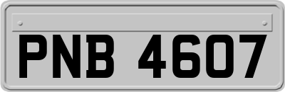 PNB4607